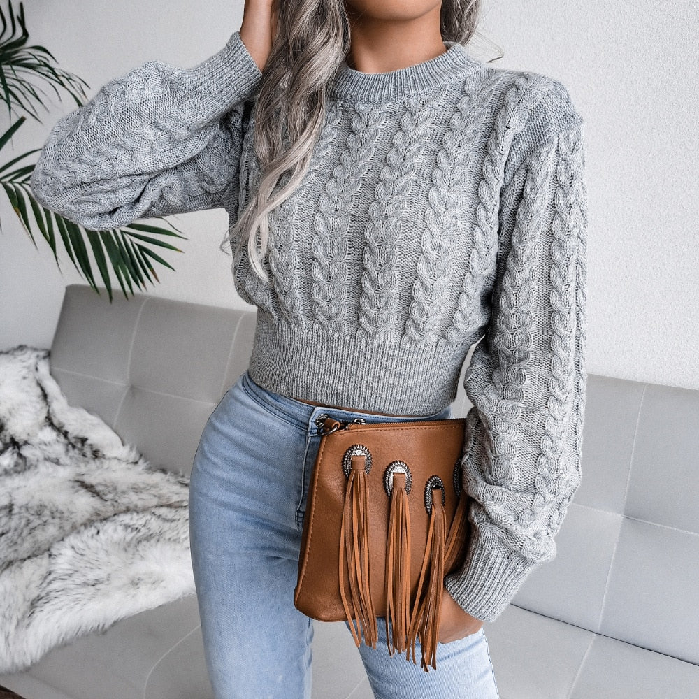 Women's Autumn Winter Long Sleeve Twist Neck Knit Crop Sweater Fashion Slim All Match Pullover Jumper Top The Clothing Company Sydney