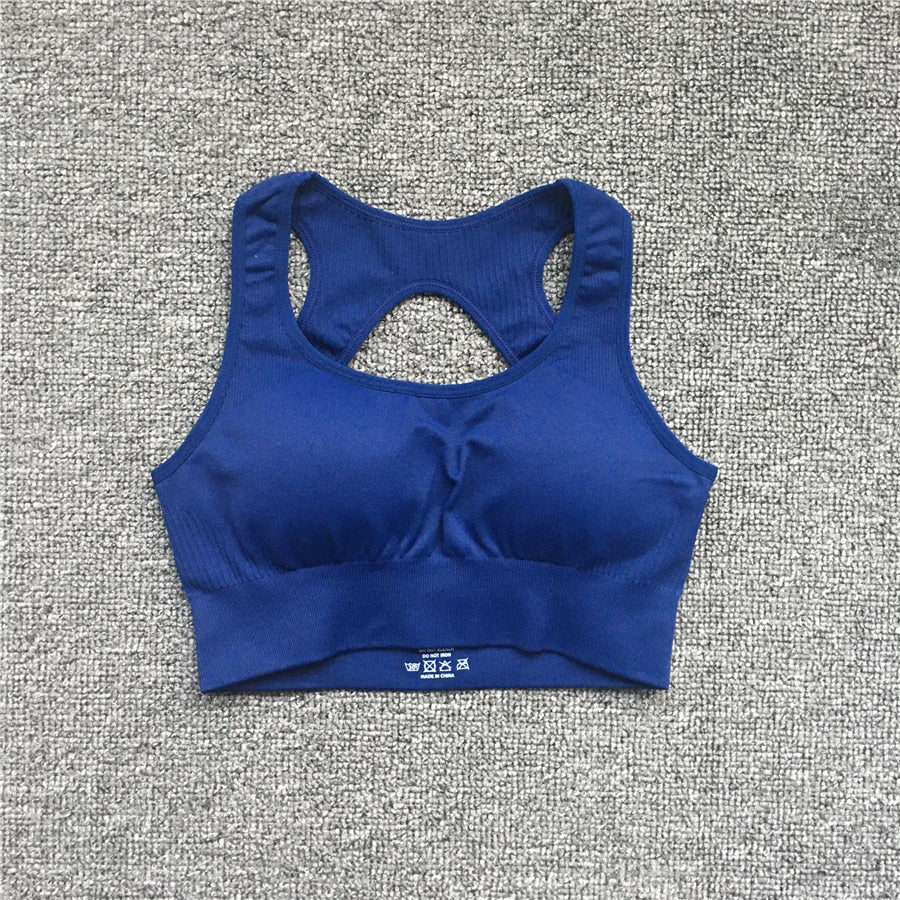 Seamless Women Fitness Arise Epic Yoga Sets High Waist Gym Scrunch Leggings Sports Bra Workout Active Wear Suits The Clothing Company Sydney