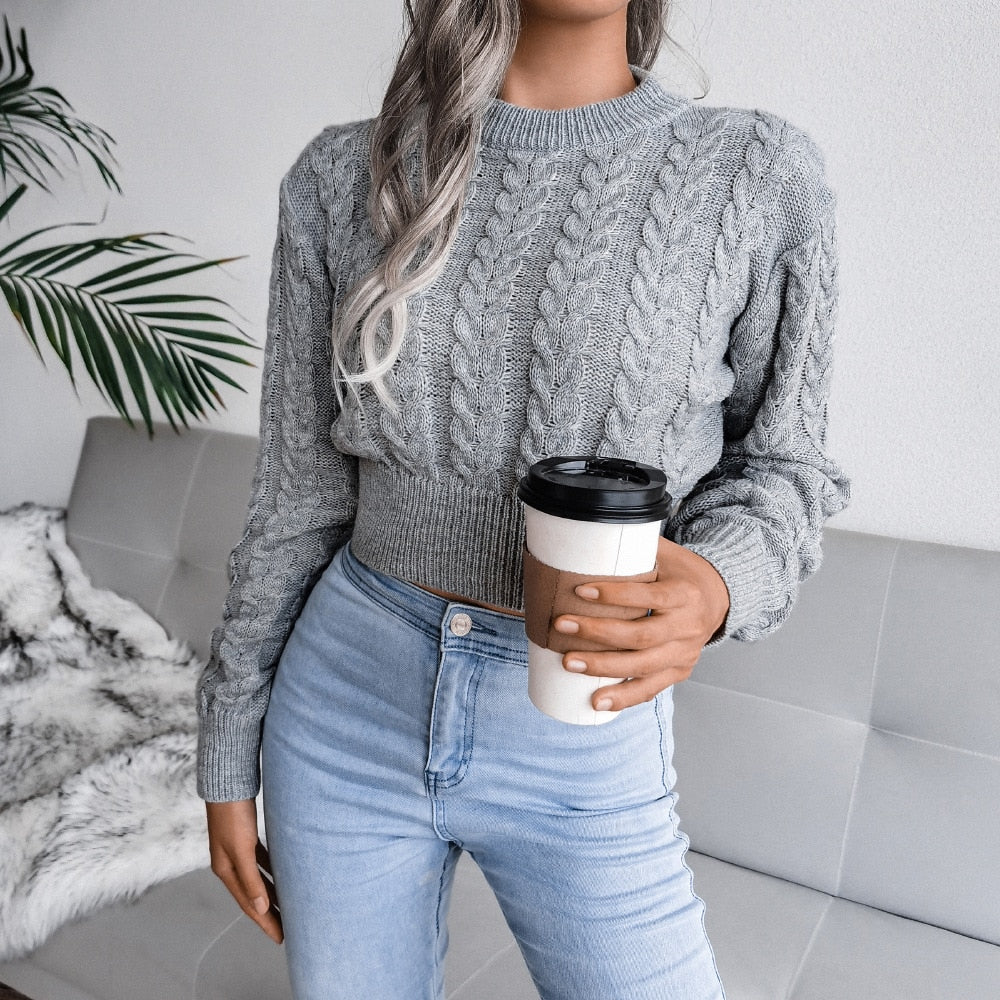 Women's Autumn Winter Long Sleeve Twist Neck Knit Crop Sweater Fashion Slim All Match Pullover Jumper Top The Clothing Company Sydney