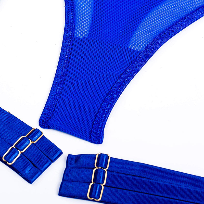 4 Piece Lingerie Underwear Bra Garters Brief Sets Transparent Lace Seamless Panties Set The Clothing Company Sydney