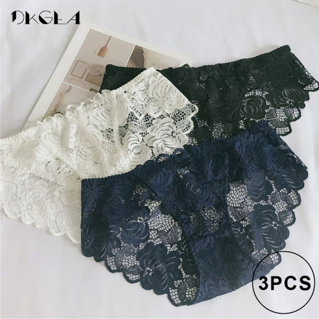 3 Piece Lace Underwear Plus Size Low rise Transparent Embroidered Panties The Clothing Company Sydney