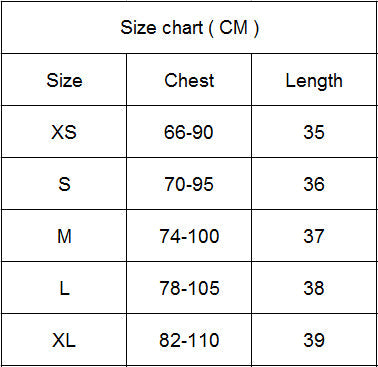 2 Piece Sports Suits Set Yoga Sets Gym Fitness Athletic Shorts Sportswear Short Sleeve Shirt Sports Activewear The Clothing Company Sydney
