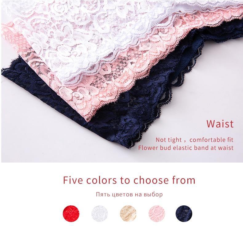 3 Pack Underwear Lingerie Sexy Lace Transparent Panties Briefs High Quality Low Waist Women's Underpants The Clothing Company Sydney