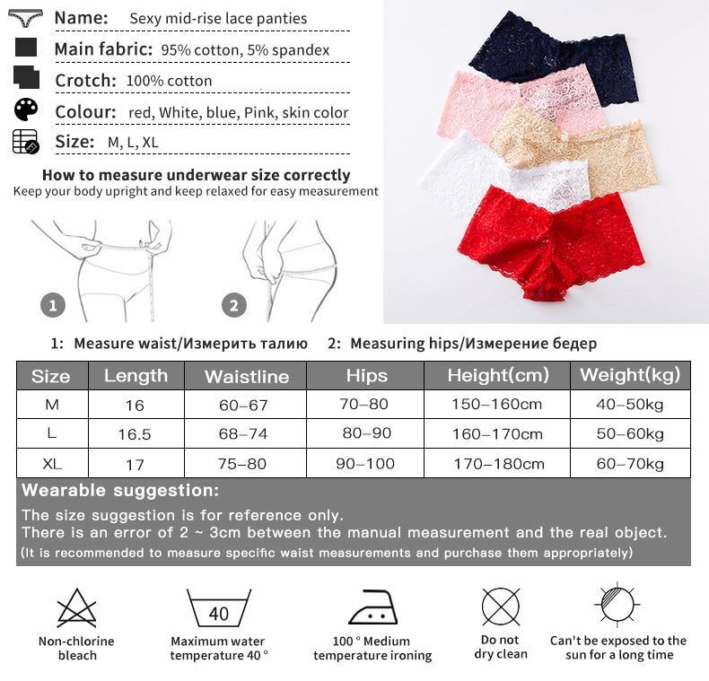 3 Pack Underwear Lingerie Sexy Lace Transparent Panties Briefs High Quality Low Waist Women's Underpants The Clothing Company Sydney