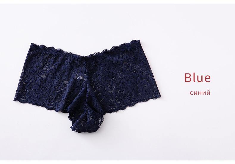 3 Pack Underwear Lingerie Sexy Lace Transparent Panties Briefs High Quality Low Waist Women's Underpants The Clothing Company Sydney