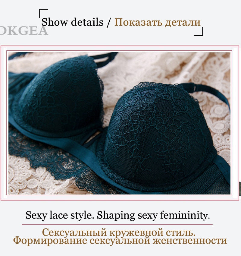 2 Piece Lace Bra and Panties Push Up Brassiere Sexy Underwear Set Cotton Thick Bras Embroidered Women Lingerie Set The Clothing Company Sydney