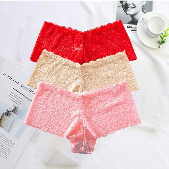 3 Pack Underwear Lingerie Sexy Lace Transparent Panties Briefs High Quality Low Waist Women's Underpants The Clothing Company Sydney