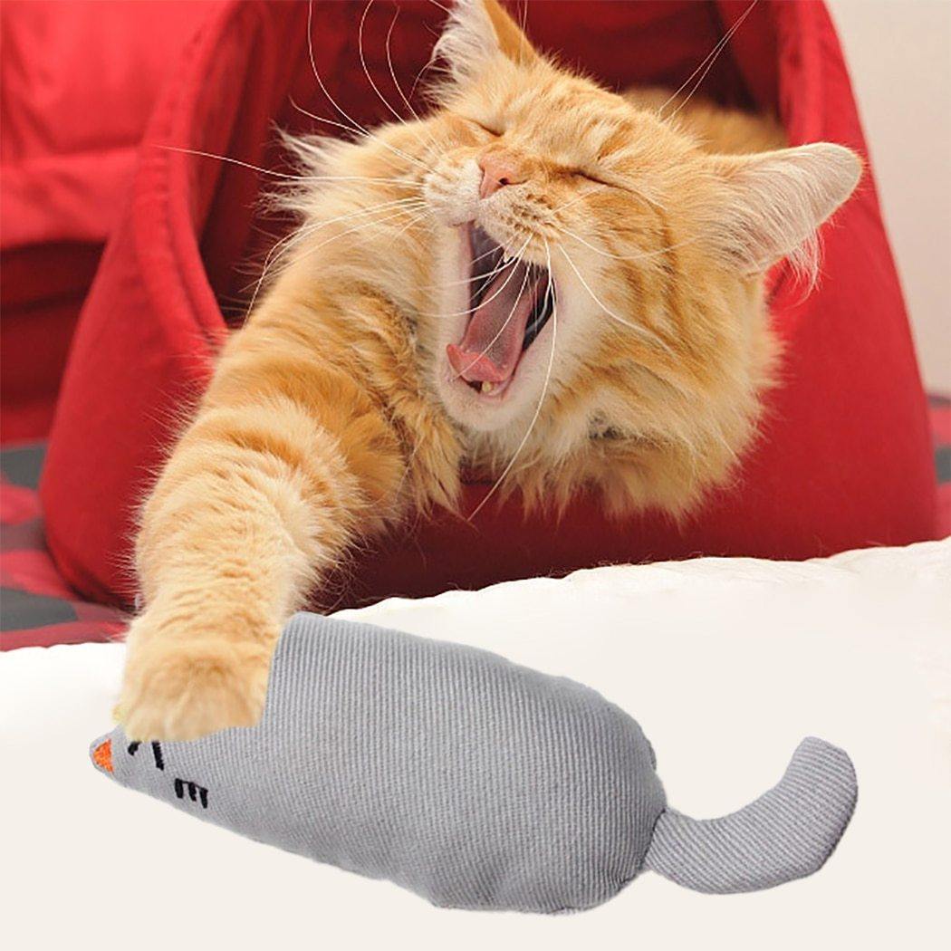 Cat Grinding Catnip Funny Interactive Plush Pet Kitten Chewing Toy Claws Thumb Bite Toy The Clothing Company Sydney