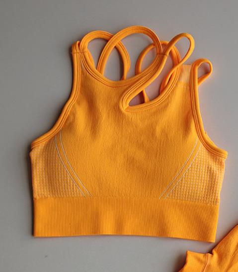 2 Piece Seamless Sports Bras Fitness Shorts Yoga Set Gym Breathable Stretch Sports Suit Running Training Wear The Clothing Company Sydney