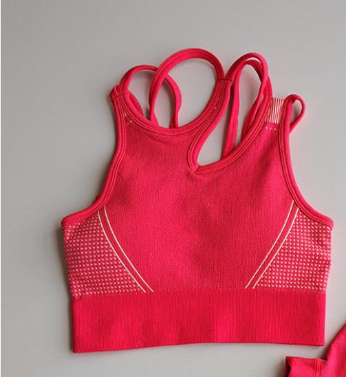 2 Piece Seamless Sports Bras Fitness Shorts Yoga Set Gym Breathable Stretch Sports Suit Running Training Wear The Clothing Company Sydney