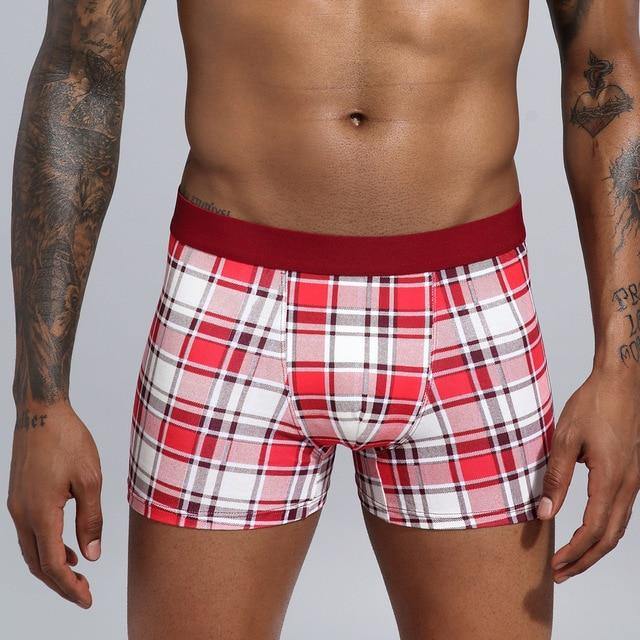 Men's Short Underwear Cotton Boxer Breathable Shorts Boxers Underpants The Clothing Company Sydney