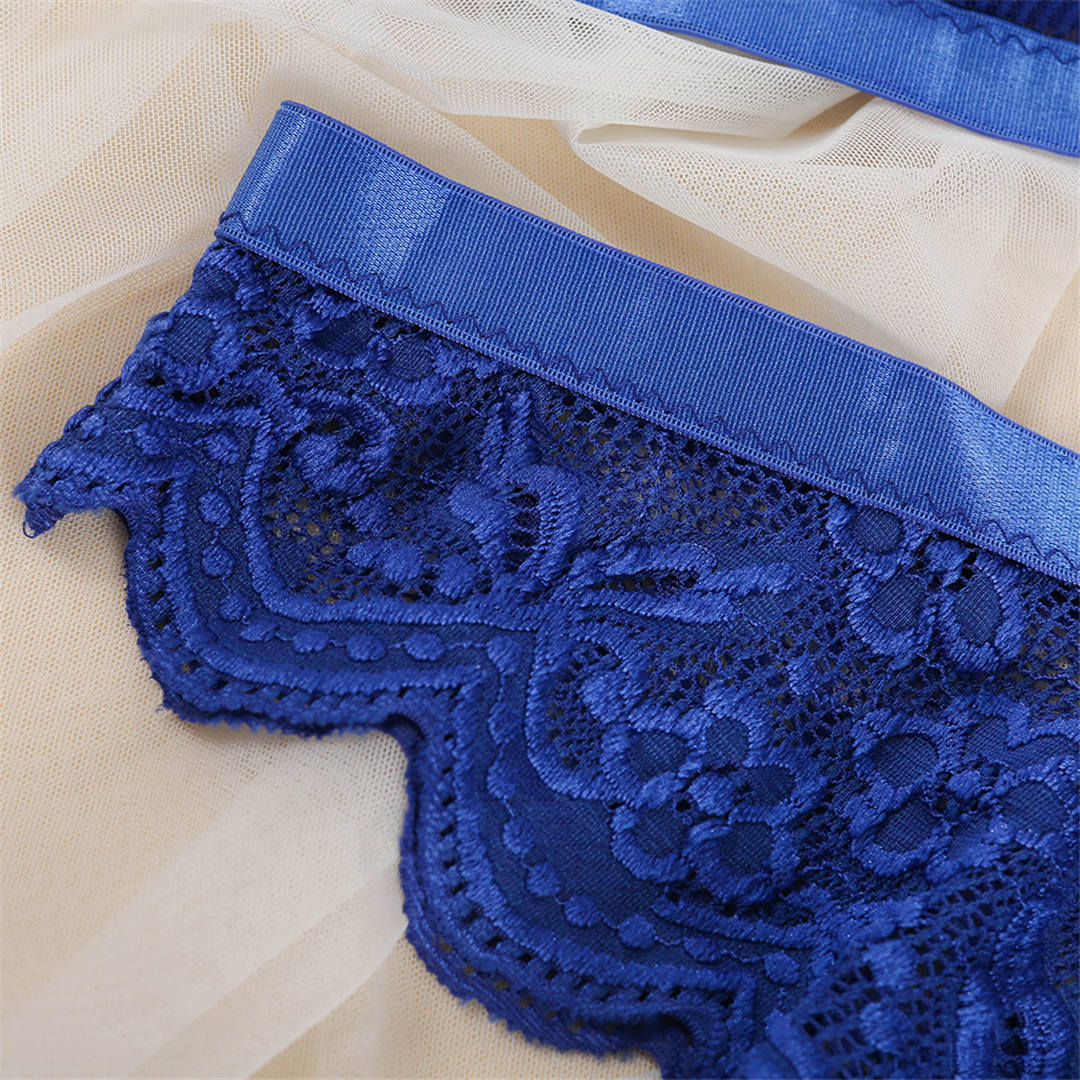 2 Piece Lingerie Lace Underwear Transparent Bra Brief Panties Blue Lingerie Set The Clothing Company Sydney