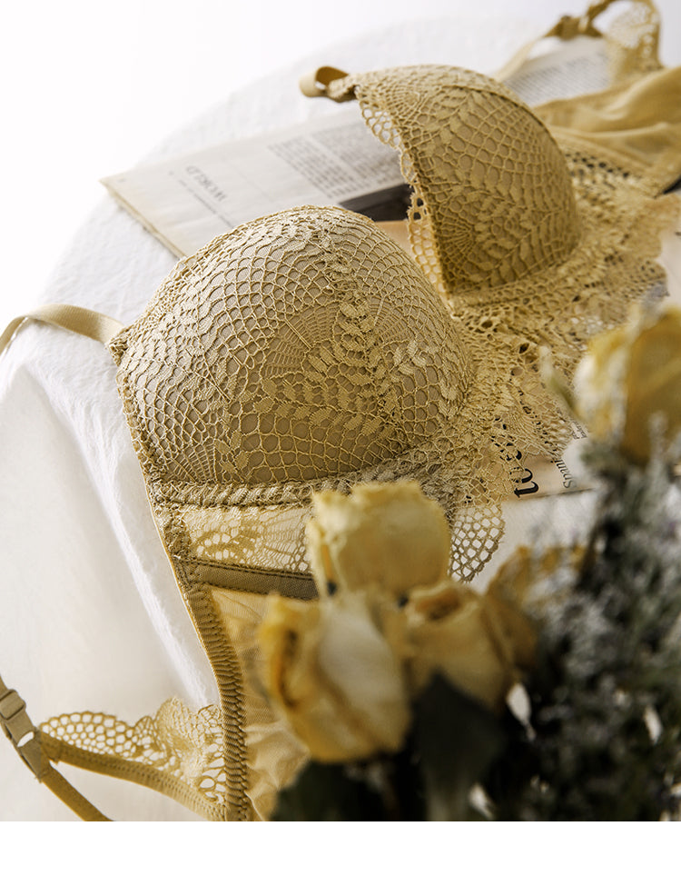 2 Piece Ladies underwear Set Lace Sexy Comfortable Brassiere Adjustable Straps Gathered Lingerie Push-up Bra And Panty Set The Clothing Company Sydney