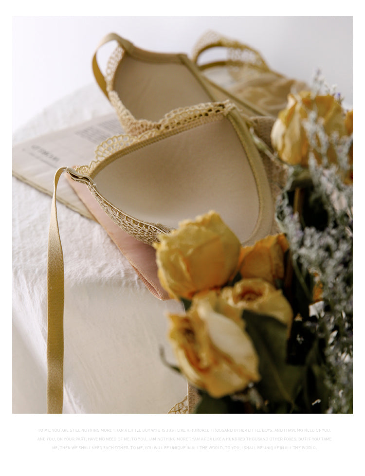 2 Piece Ladies underwear Set Lace Sexy Comfortable Brassiere Adjustable Straps Gathered Lingerie Push-up Bra And Panty Set The Clothing Company Sydney