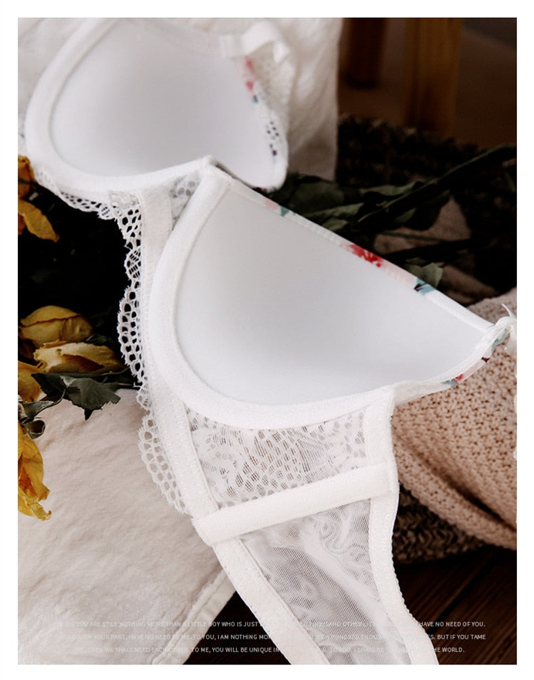 2 Piece Sexy Print Bra Lace Trim Floral Lingerie Push up Underwear Bow Bra and Hollow out Panties Set The Clothing Company Sydney
