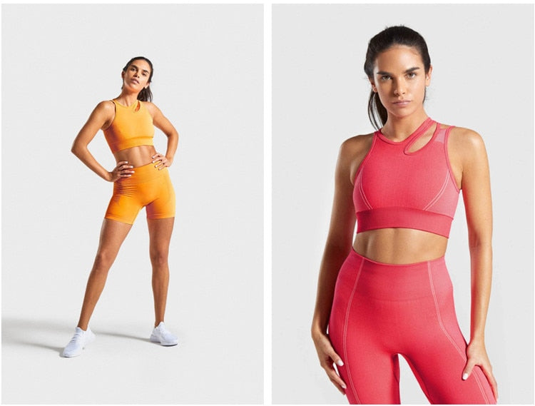 2 Piece Seamless Sports Bras Fitness Shorts Yoga Set Gym Breathable Stretch Sports Suit Running Training Wear The Clothing Company Sydney