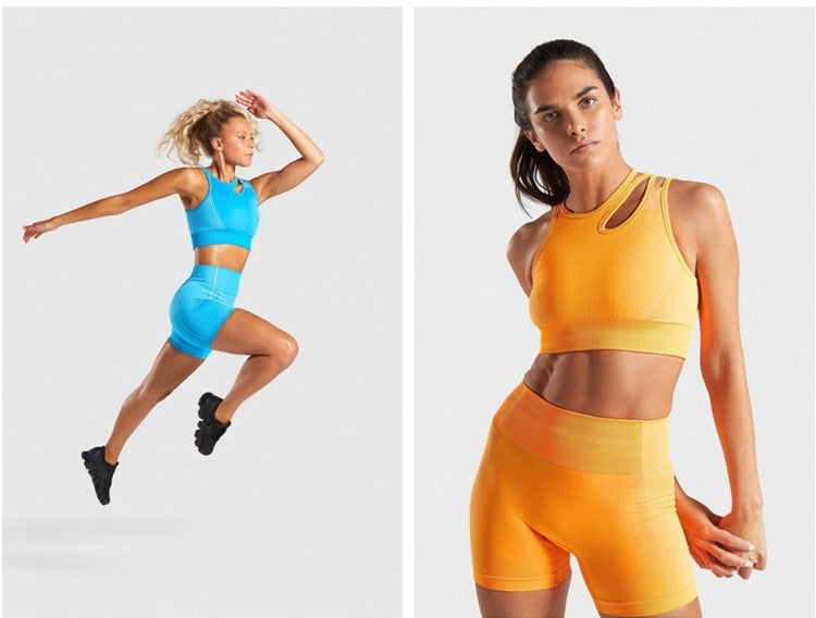 2 Piece Seamless Sports Bras Fitness Shorts Yoga Set Gym Breathable Stretch Sports Suit Running Training Wear The Clothing Company Sydney