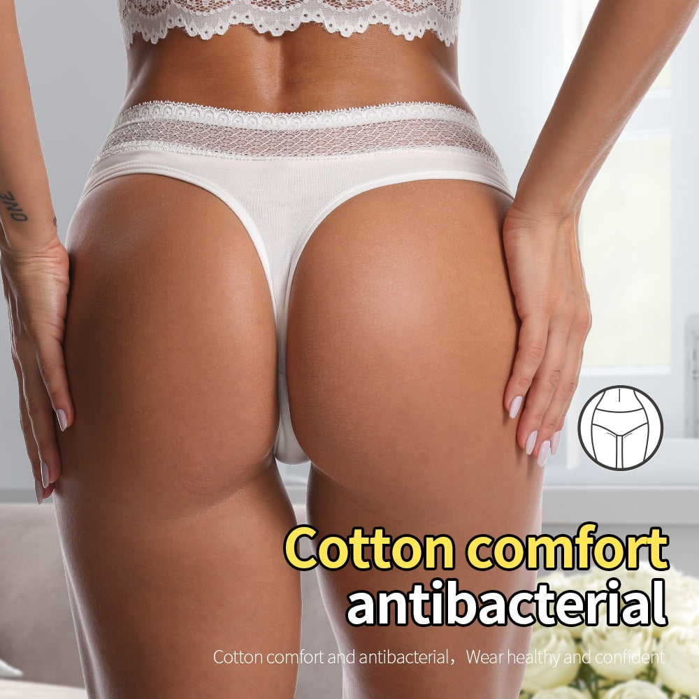 Cotton thong Underwear Lingerie Seamless  Brief G String Panties Plus Size The Clothing Company Sydney