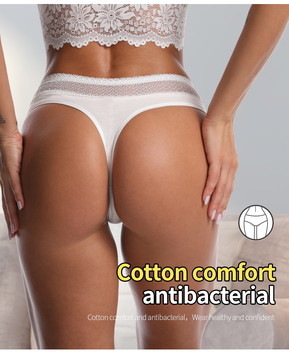 Cotton thong Underwear Lingerie Seamless  Brief G String Panties Plus Size The Clothing Company Sydney