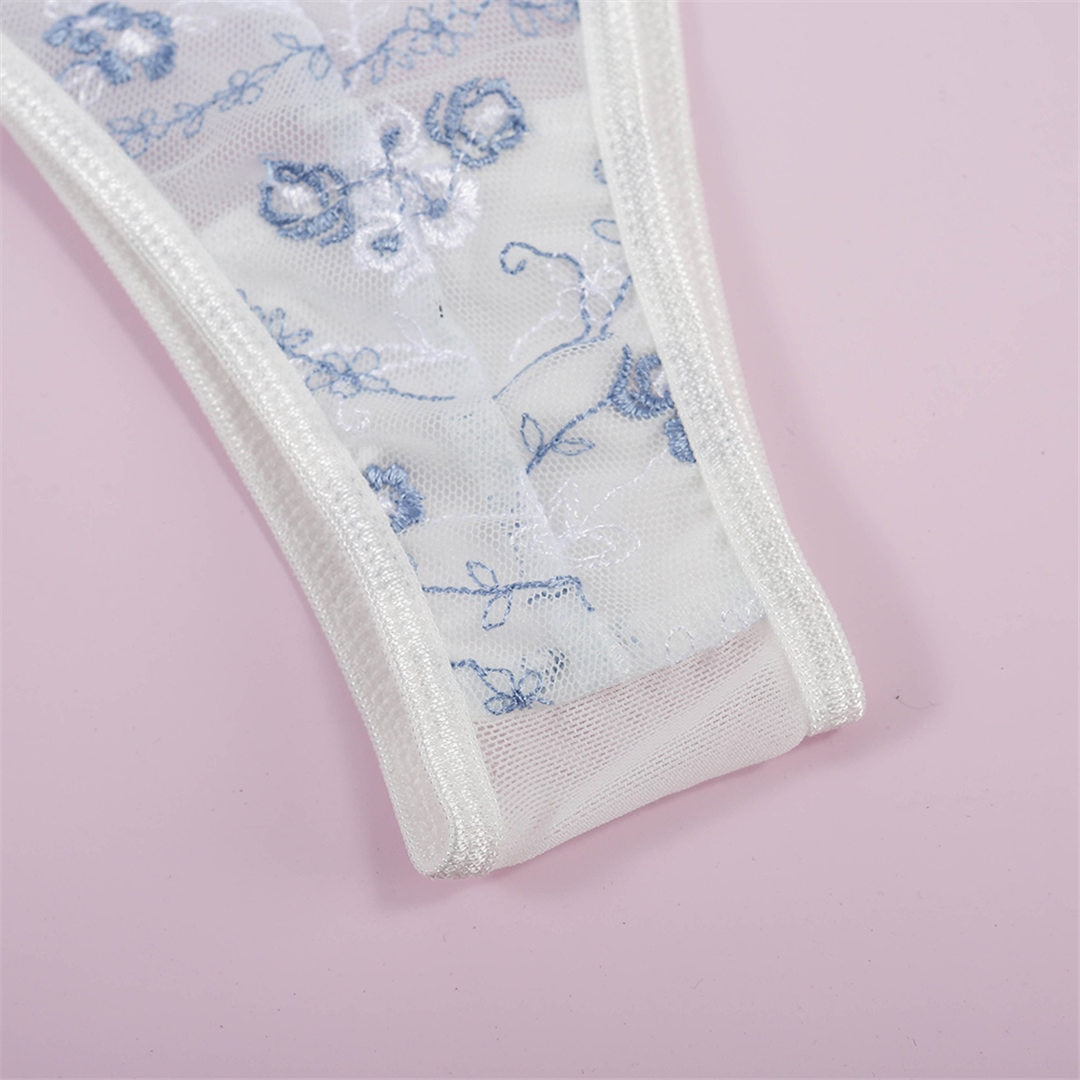 2 Piece Underwear Set Embroidery Lingerie Lace See Through Bra Set Transparent Mesh Lingerie Sexy Bra Set The Clothing Company Sydney