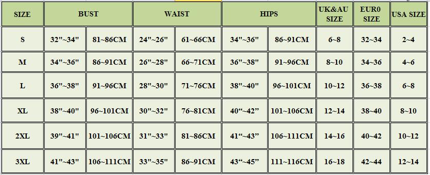 2 Piece Swimwear Leopard Swimsuit Bathing Suit Retro Swimsuit Vintage Beach wear Surfing Long Sleeve Bikini Set The Clothing Company Sydney