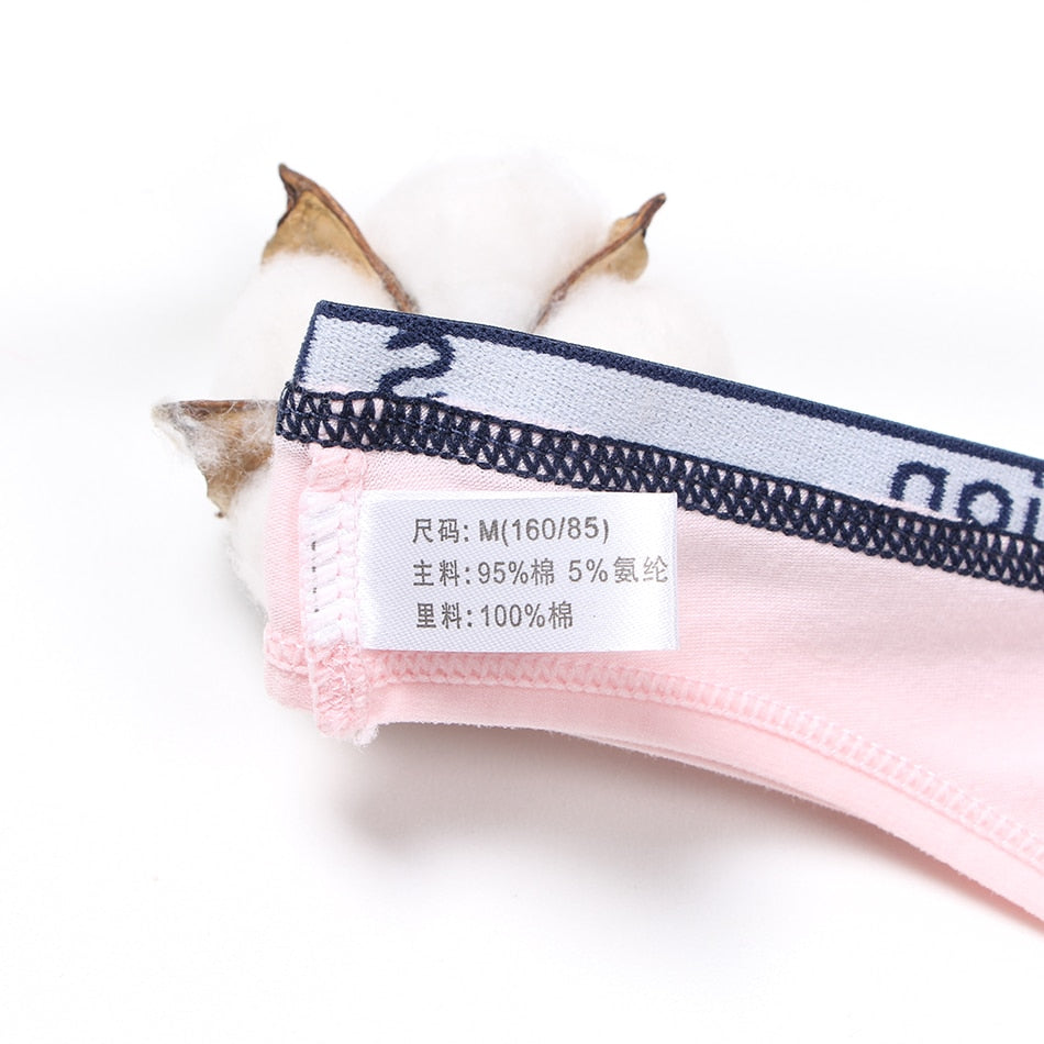 3 Pack Lace Thong G-String Cotton Underwear Lingerie Seamless Panty Intimates Briefs Panties The Clothing Company Sydney