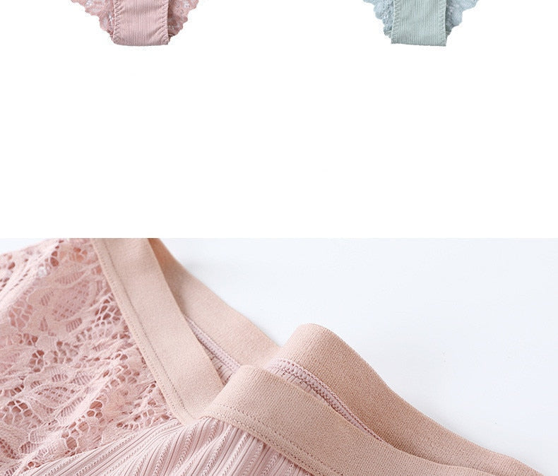 3 Pack Briefs Lace Panties Underwear Lingerie  Floral Underpants Undies The Clothing Company Sydney