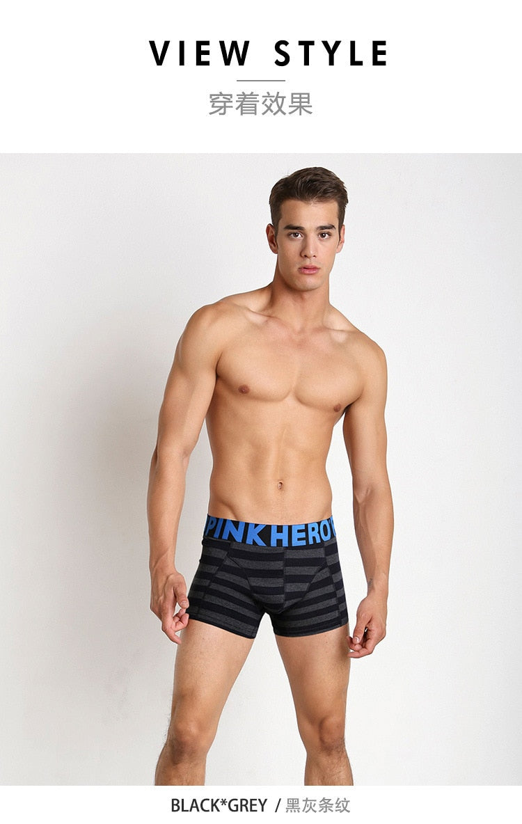 Men's Stripe Fashion Male Underpants boxer mens underwear boxers boxershorts Trunks The Clothing Company Sydney