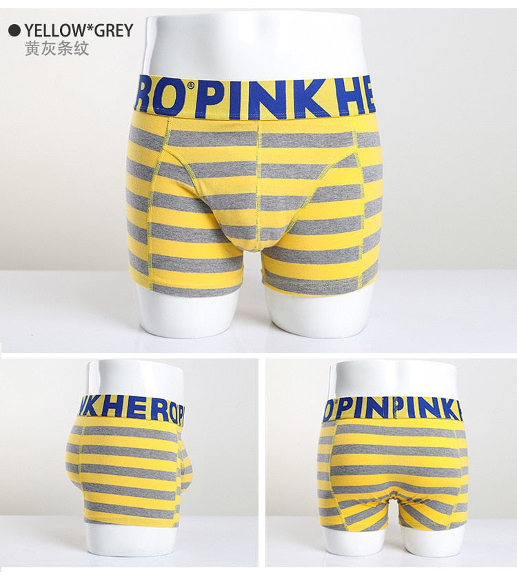 Men's Stripe Fashion Male Underpants boxer mens underwear boxers boxershorts Trunks The Clothing Company Sydney