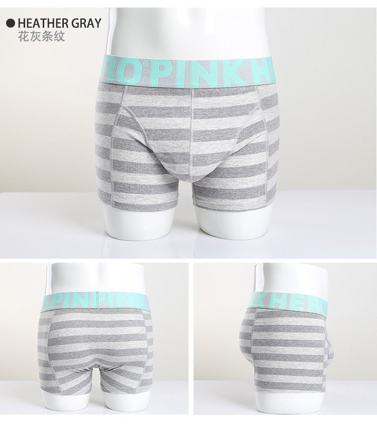 Men's Stripe Fashion Male Underpants boxer mens underwear boxers boxershorts Trunks The Clothing Company Sydney