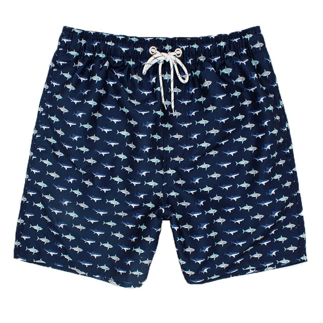 Men's Sports Short Beach Bermuda Board Shorts Surfing Swimming Boxer Trunks Bathing Suits Swimwear Swimsuit The Clothing Company Sydney