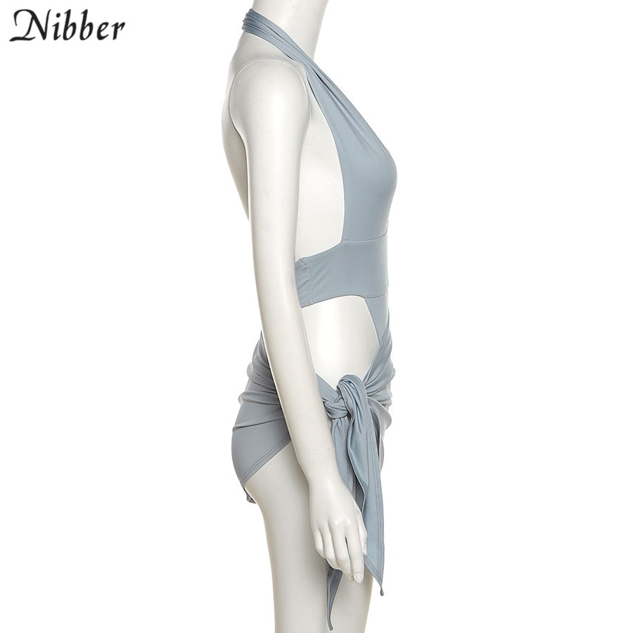 2 Piece Beach Vacation Wear Basic Bikini Bodysuit Skirts For Women's Clothing Suit Set The Clothing Company Sydney