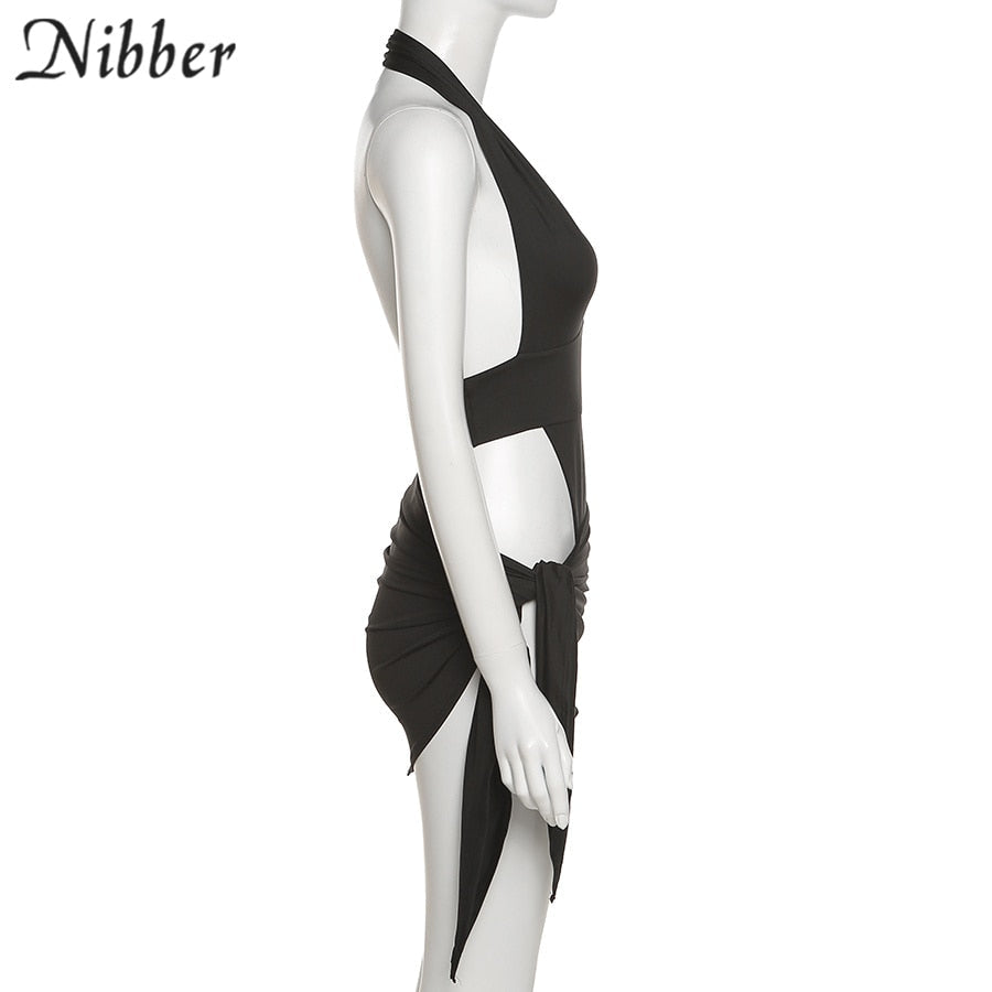 2 Piece Beach Vacation Wear Basic Bikini Bodysuit Skirts For Women's Clothing Suit Set The Clothing Company Sydney