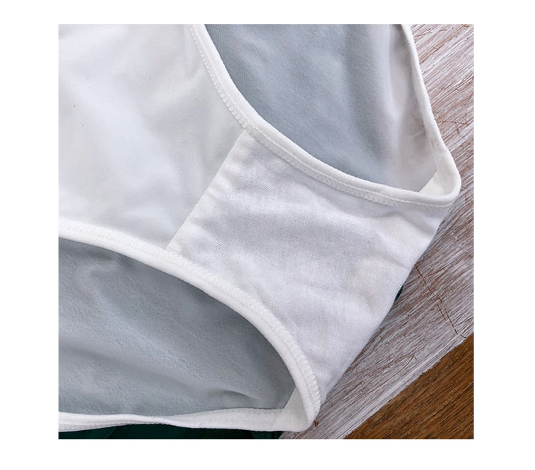 Comfortable Briefs Hollow Out High Rise Underwear Push Up Iced Silk Ladies Seamless Lingerie Panties Undies The Clothing Company Sydney