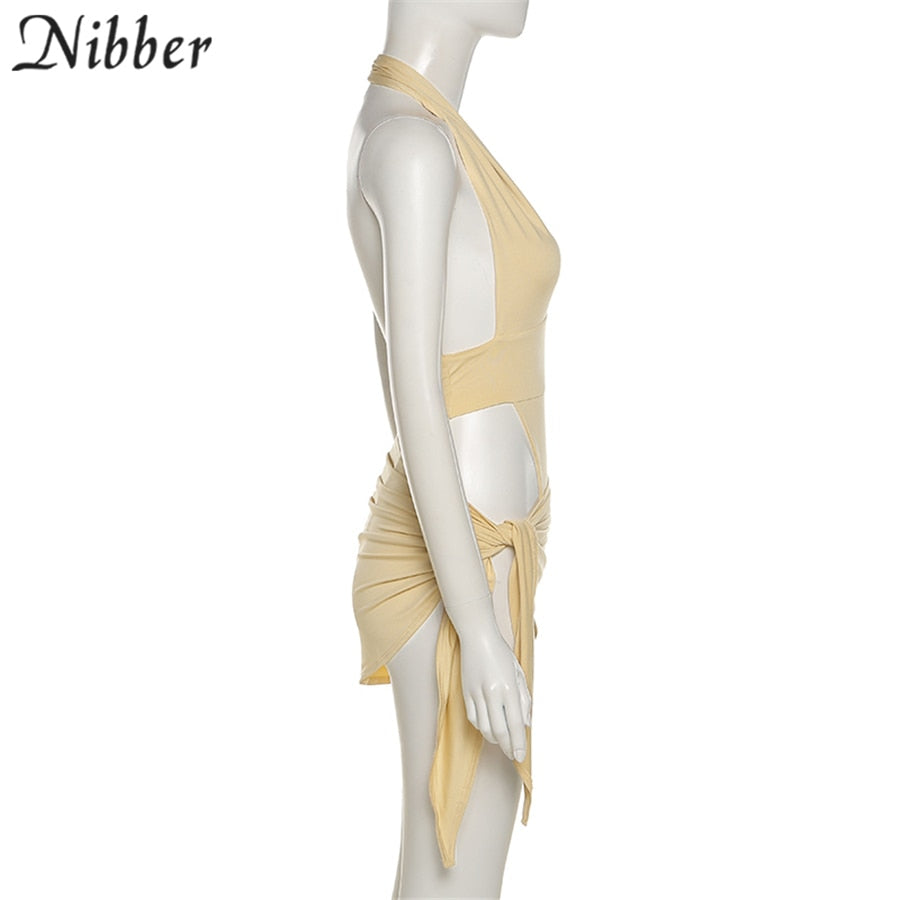 2 Piece Beach Vacation Wear Basic Bikini Bodysuit Skirts For Women's Clothing Suit Set The Clothing Company Sydney