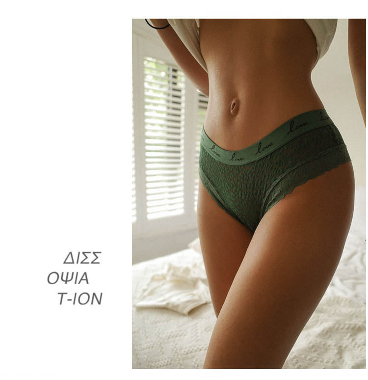Lace Panties Low-waist Underwear  G String Transparent Lingerie LOVE Letter Embroidery Intimates Briefs The Clothing Company Sydney