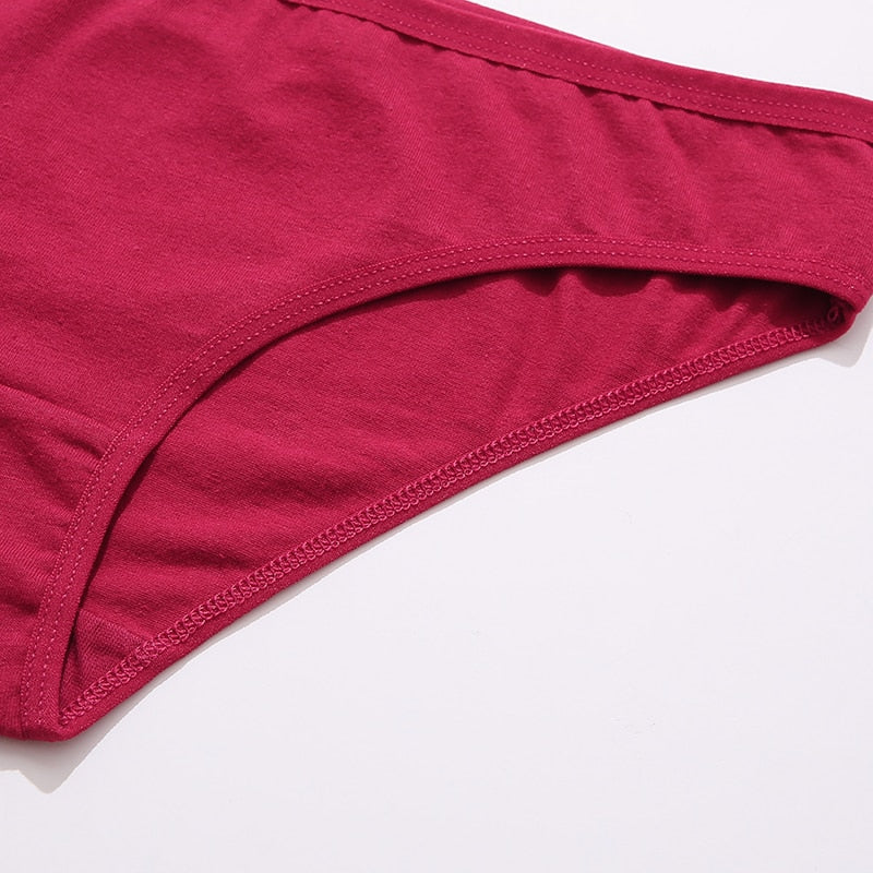 3 pack Cotton Mix Panties Lace Transparent Heart Low-Waist Underpant Hollow Out Briefs Seamless Underwear Lingerie The Clothing Company Sydney