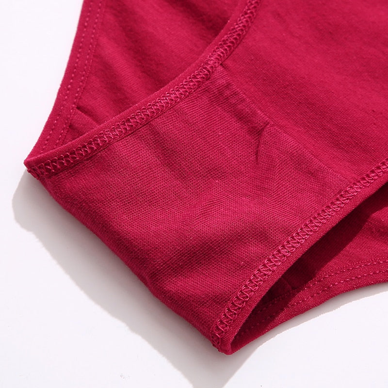 3 pack Cotton Mix Panties Lace Transparent Heart Low-Waist Underpant Hollow Out Briefs Seamless Underwear Lingerie The Clothing Company Sydney