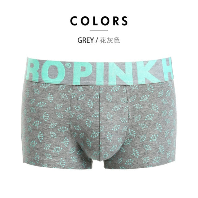 Men's Underwear Middle Waist Cotton Boxer Hombre Shorts Brand Trunks The Clothing Company Sydney