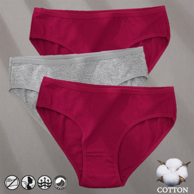 3 Pack Cotton Mix Panties Jacquard Design Pattern Panties Underwear Lingerie Briefs Solid Color Intimate Pantys The Clothing Company Sydney