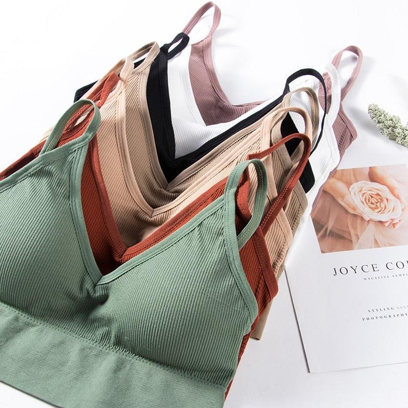 2 Pack Bras Seamless Bra U Type Backless Bralette Push Up Tupe Top Wire Free Brassiere The Clothing Company Sydney