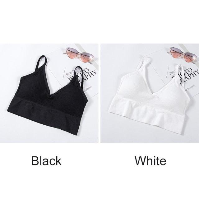 2 Pack Bras Seamless Bra U Type Backless Bralette Push Up Tupe Top Wire Free Brassiere The Clothing Company Sydney