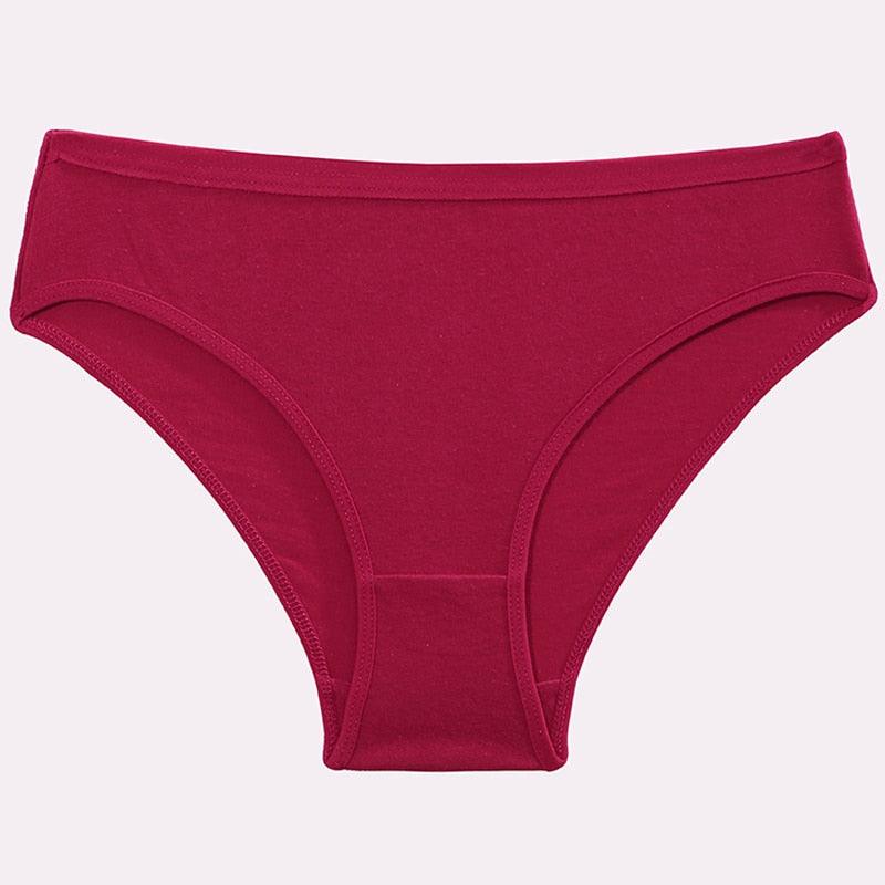 2 Pack Cotton Mix Panties Heart Hollow Out Briefs Sexy Low-Waist Underpants Comfortable Seamless Underwear The Clothing Company Sydney