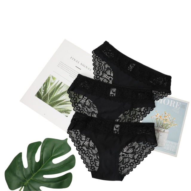 3 Pack Lace Underwear Panties Set Intimate Lingerie Cotton Briefs Transparent Undies The Clothing Company Sydney