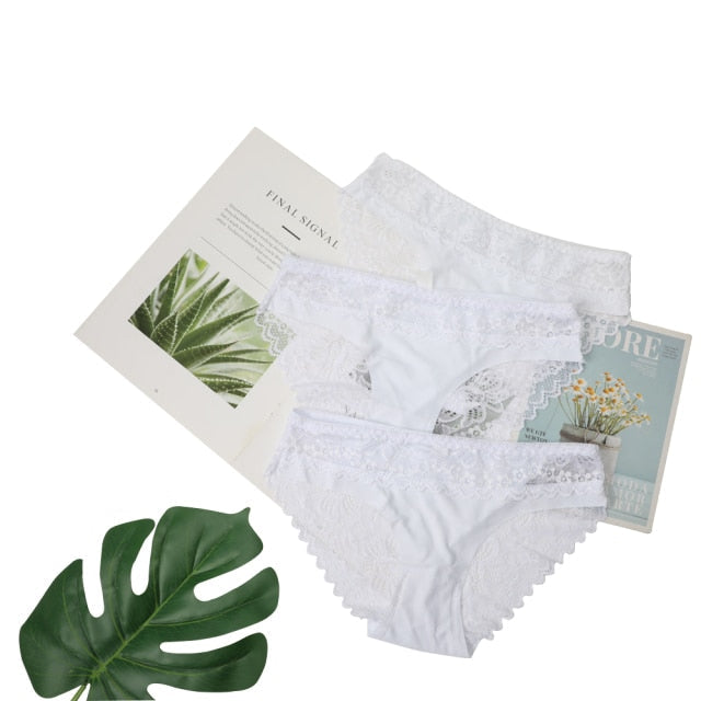 3 Pack Lace Underwear Panties Set Intimate Lingerie Cotton Briefs Transparent Undies The Clothing Company Sydney