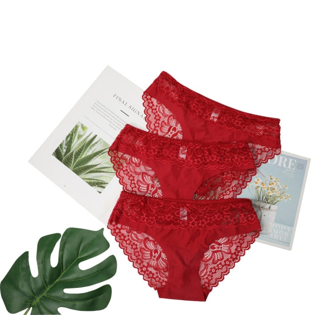 3 Pack Lace Underwear Panties Set Intimate Lingerie Cotton Briefs Transparent Undies The Clothing Company Sydney