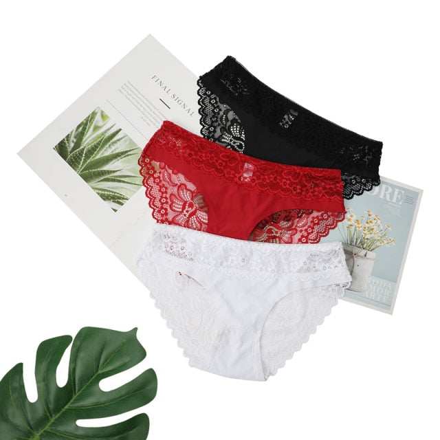 3 Pack Lace Underwear Panties Set Intimate Lingerie Cotton Briefs Transparent Undies The Clothing Company Sydney