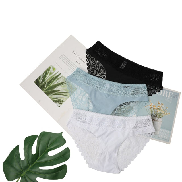 3 Pack Lace Underwear Panties Set Intimate Lingerie Cotton Briefs Transparent Undies The Clothing Company Sydney