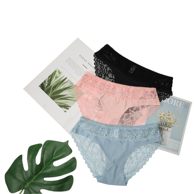3 Pack Lace Underwear Panties Set Intimate Lingerie Cotton Briefs Transparent Undies The Clothing Company Sydney