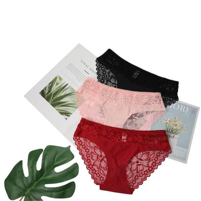 3 Pack Lace Underwear Panties Set Intimate Lingerie Cotton Briefs Transparent Undies The Clothing Company Sydney